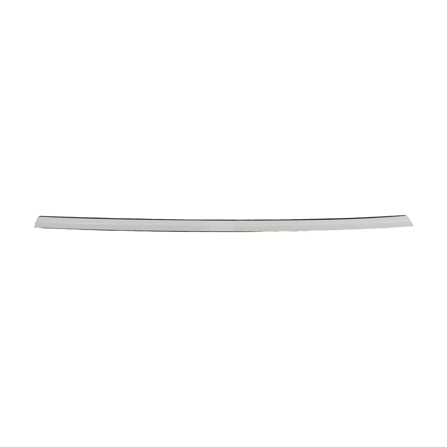 Opt OEM OUTER BELT ASSEMBLY - REAR DOOR - LEFT HAND for Model Y