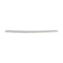Opt OEM OUTER BELT ASSEMBLY - REAR DOOR - LEFT HAND for Model Y