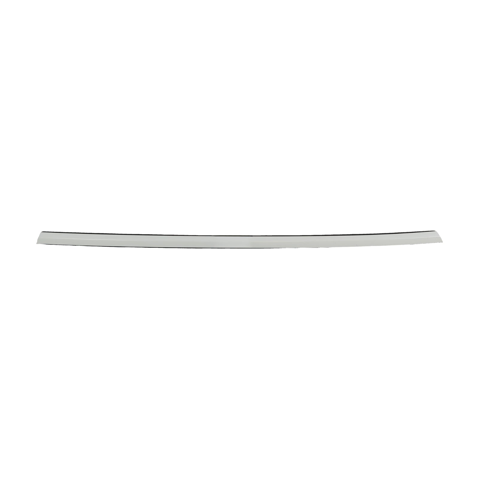 Opt OEM OUTER BELT ASSEMBLY - REAR DOOR - LEFT HAND for Model Y